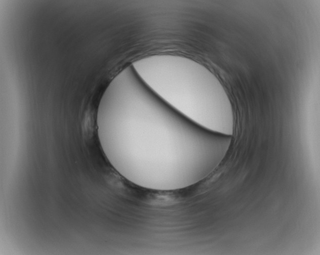 X0000115520475200911061027