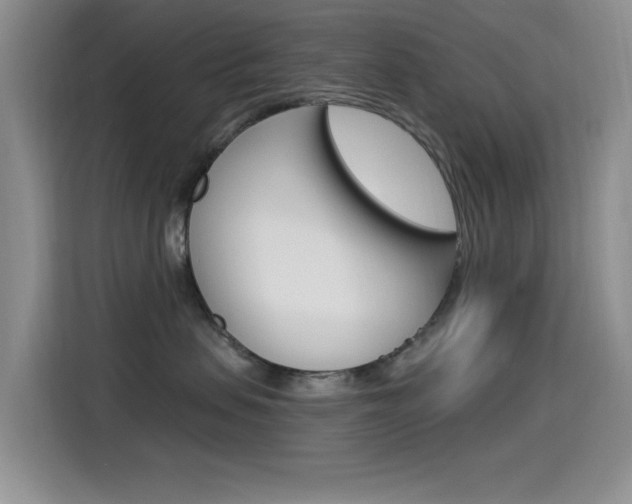 X0000115520479200911061027