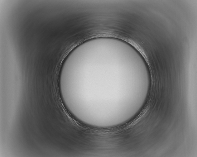 X0000115520481200911061026