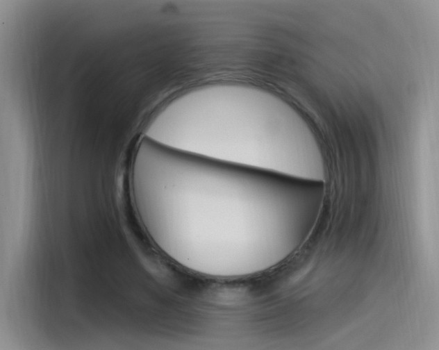 X0000115520491200911061026