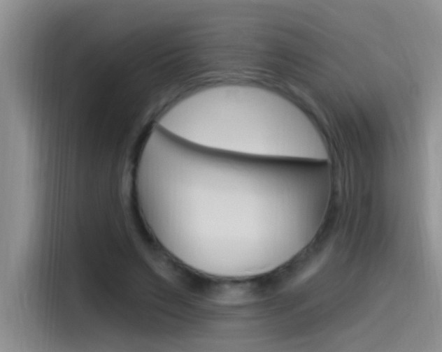 X0000115520495200911061026