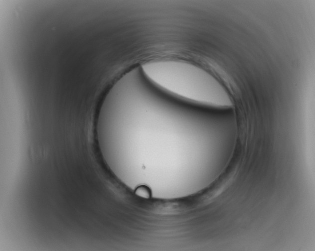 X0000115520497200911061026