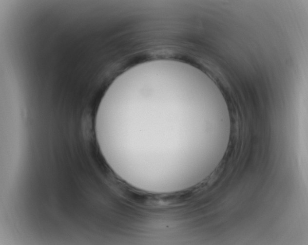 X0000115520498200911061026