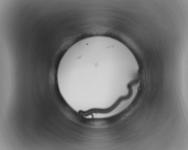 X0000115520501200911061026