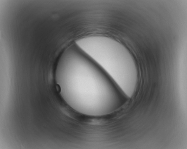 X0000115520508200911061026