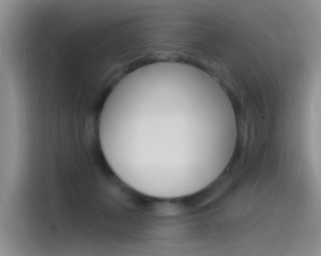 X0000115520511200911061026