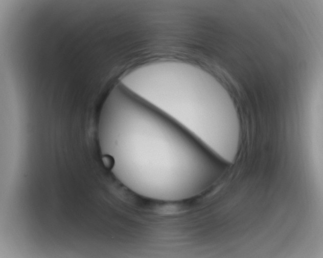 X0000115520513200911061026