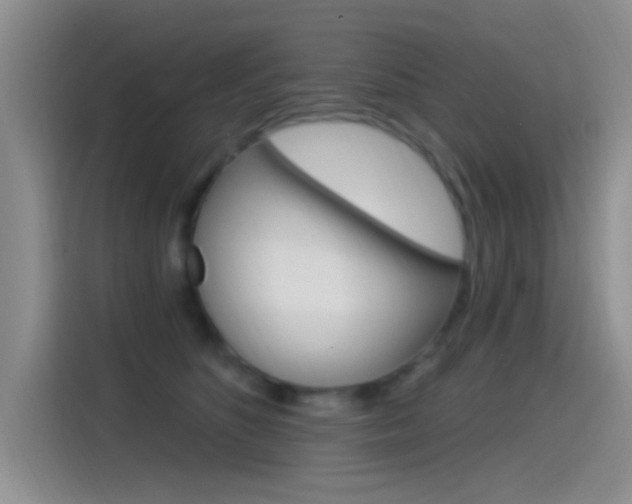 X0000115520516200911061026