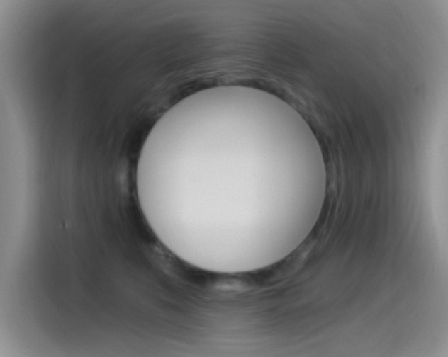 X0000115520519200911061026