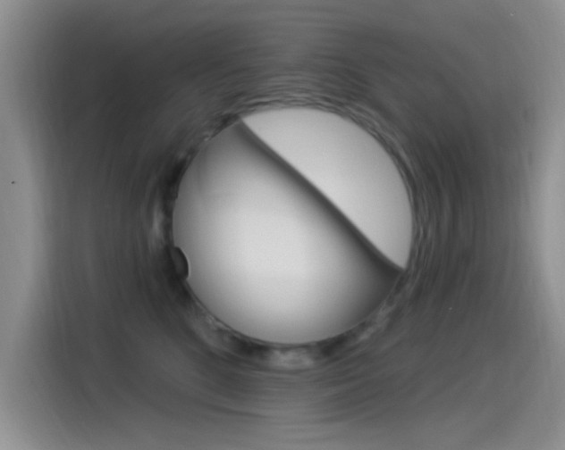 X0000115520520200911061026