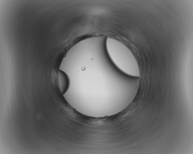 X0000115520523200911061026