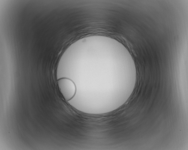 X0000115520524200911061026