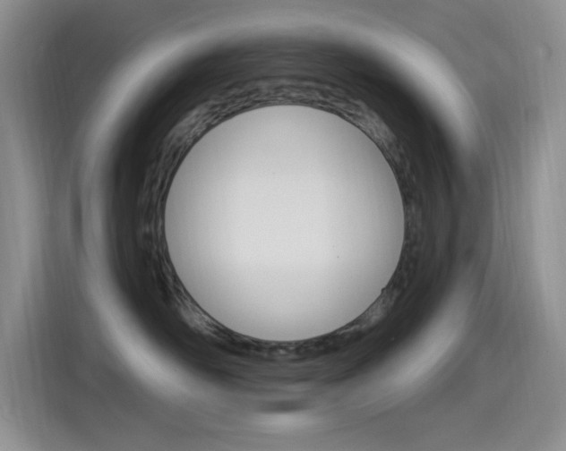 X0000115520526200911061026