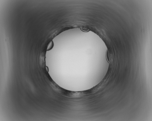 X0000115520527200911061026