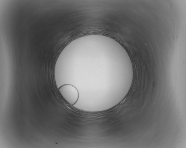 X0000115520528200911061026