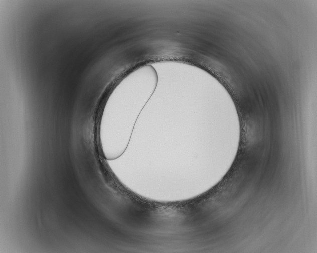 X0000115520534200911061025