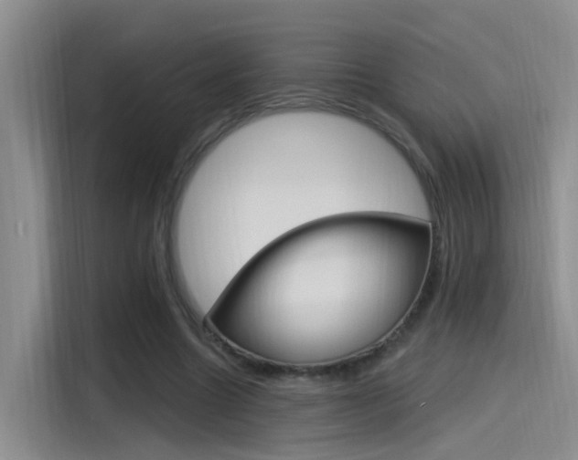 X0000115520538200911061025