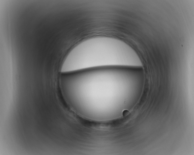 X0000115520546200911061025