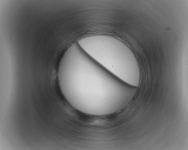 X0000115520555200911061025