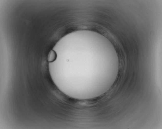 X0000115520557200911061025