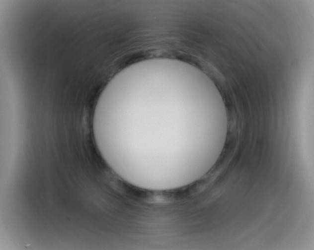 X0000115520565200911061025