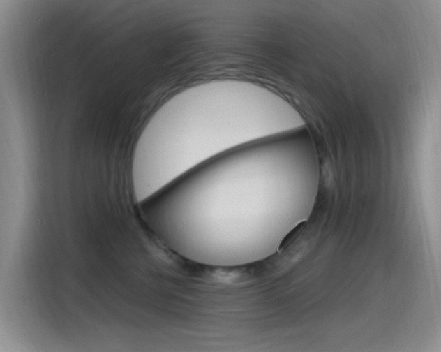 X0000115520570200911061025