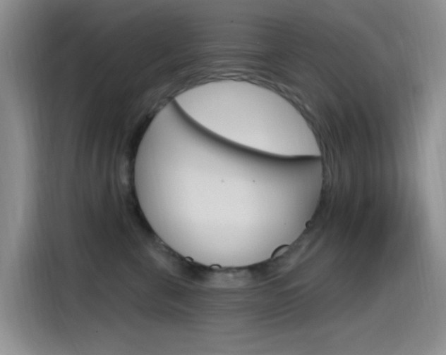 X0000115520571200911061025