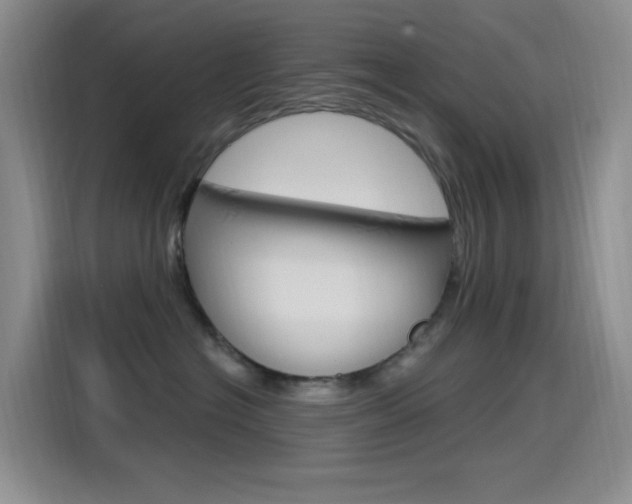 X0000115520574200911061025