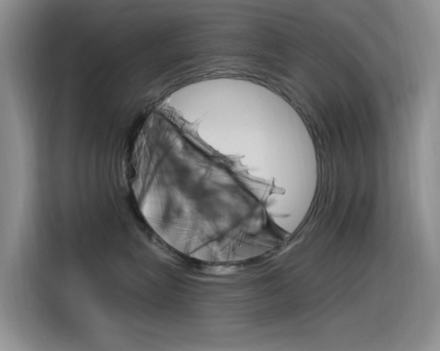 X0000115520575200911061026
