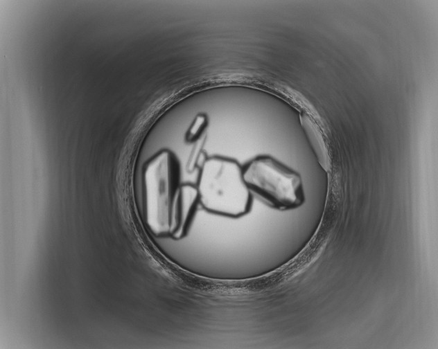 X0000115520577200911061025