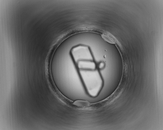 X0000115520581200911061025