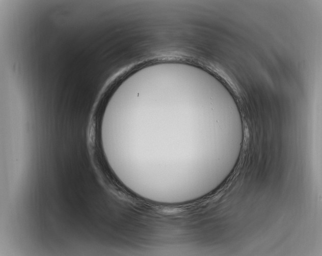 X0000115520583200911061025