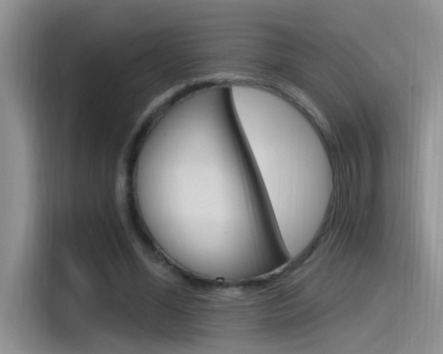 X0000115520588200911061025