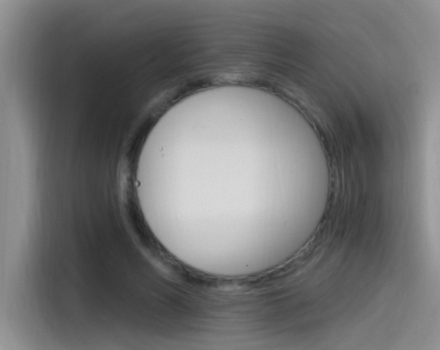X0000115520590200911061025