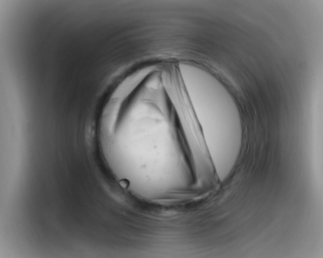 X0000115520592200911061025