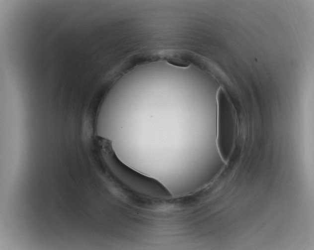 X0000115520593200911061025