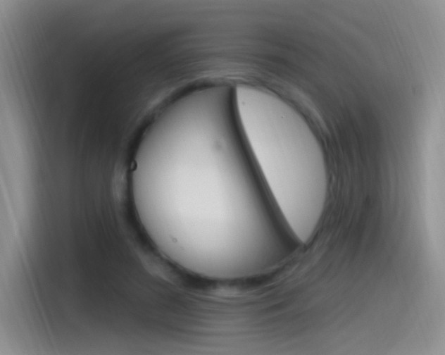 X0000115520596200911061025