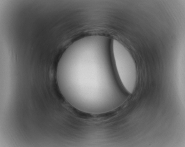 X0000115520608200911061024