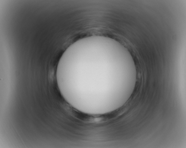 X0000115520610200911061024