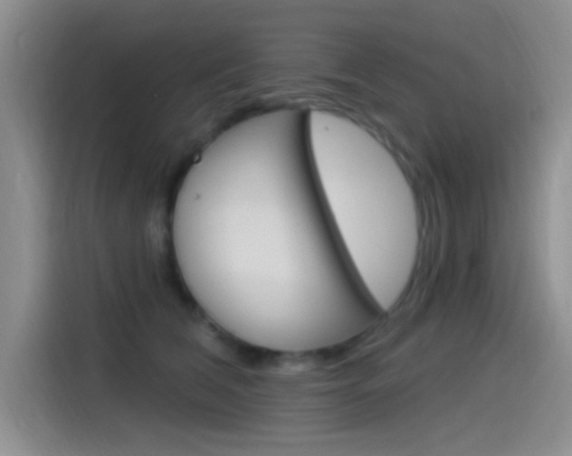 X0000115520612200911061024