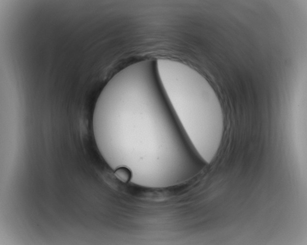 X0000115520615200911061024
