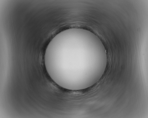 X0000115520619200911061024