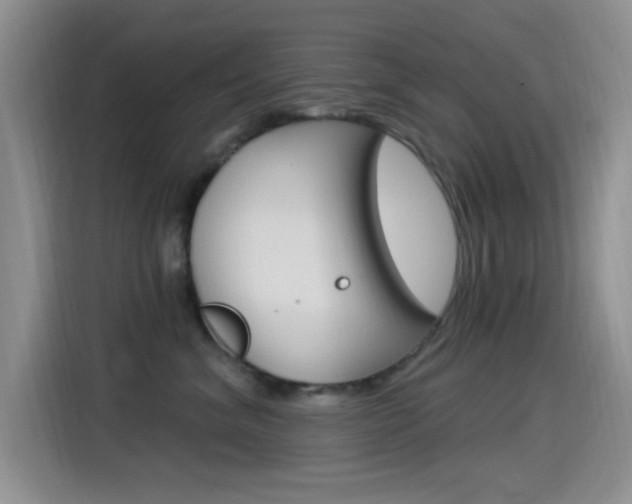 X0000115520620200911061024