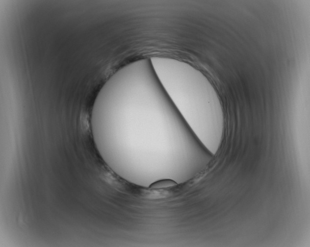 X0000115520621200911061024