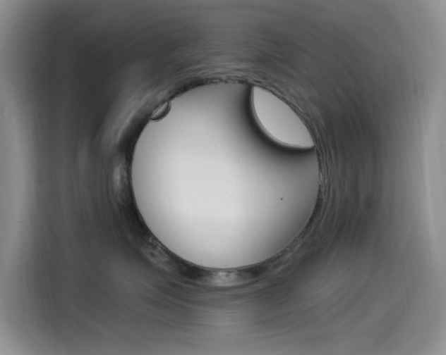 X0000115520623200911061024