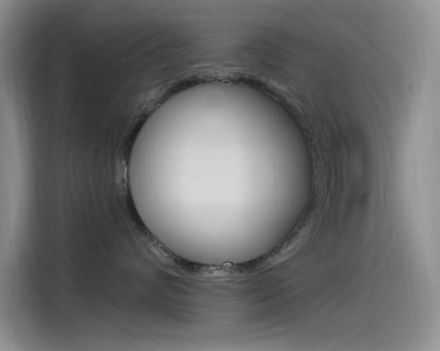 X0000115520624200911061024