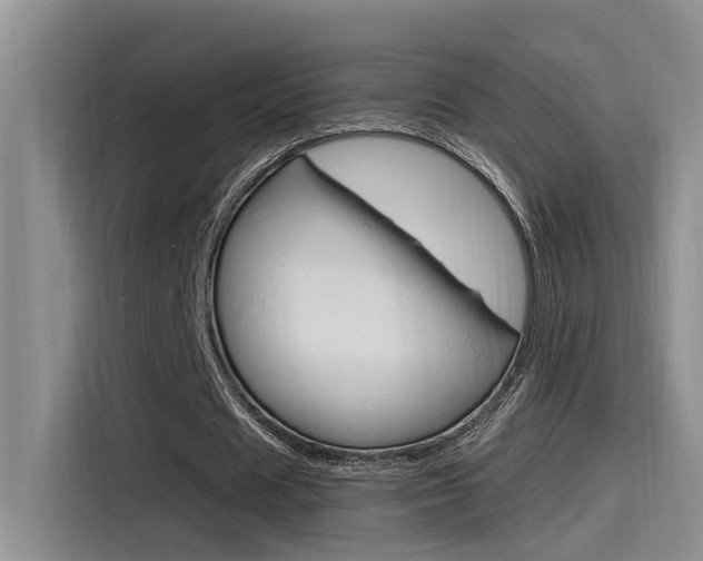 X0000115520625200911061024