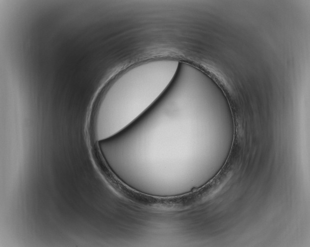 X0000115520630200911061024