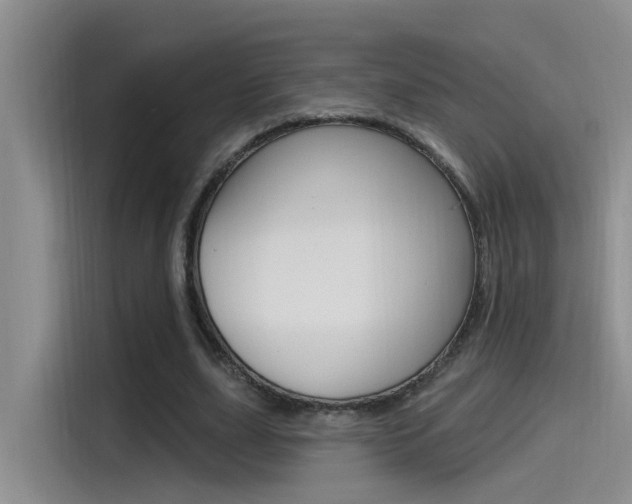 X0000115520631200911061024