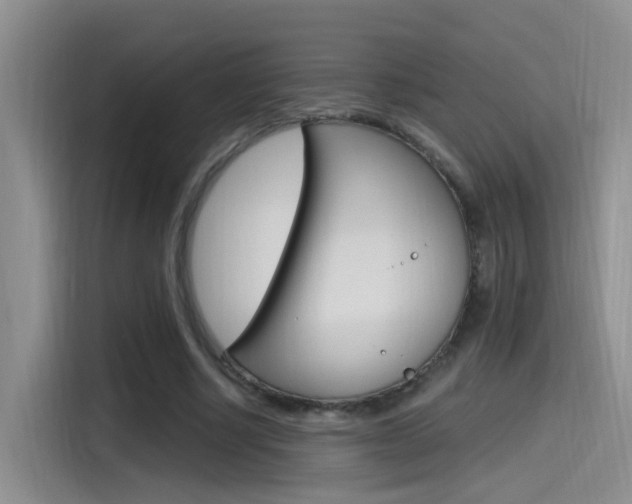 X0000115520634200911061024